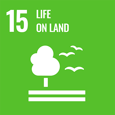 SDGs No.13 CLIMATE ACTION